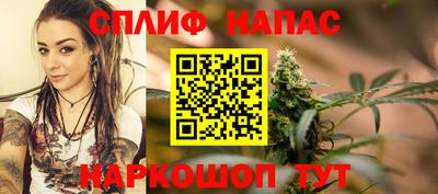 тгк Сланцы