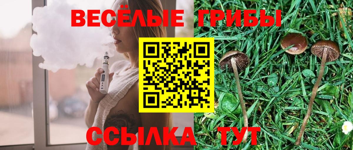 Галлюциногенные грибы GOLDEN TEACHER  купить наркоту  Братск  Вход с VPN 