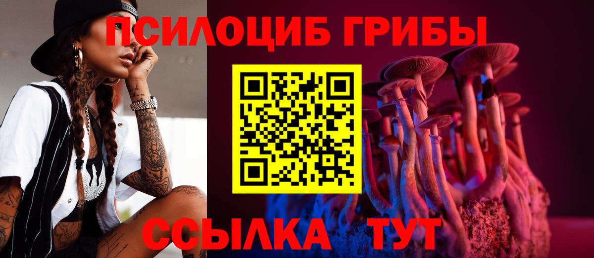 Галлюциногенные грибы GOLDEN TEACHER Братск